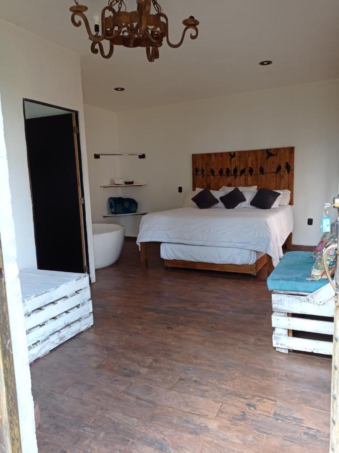 Hotel Cabanas Azul Tequilana Arandas Extérieur photo